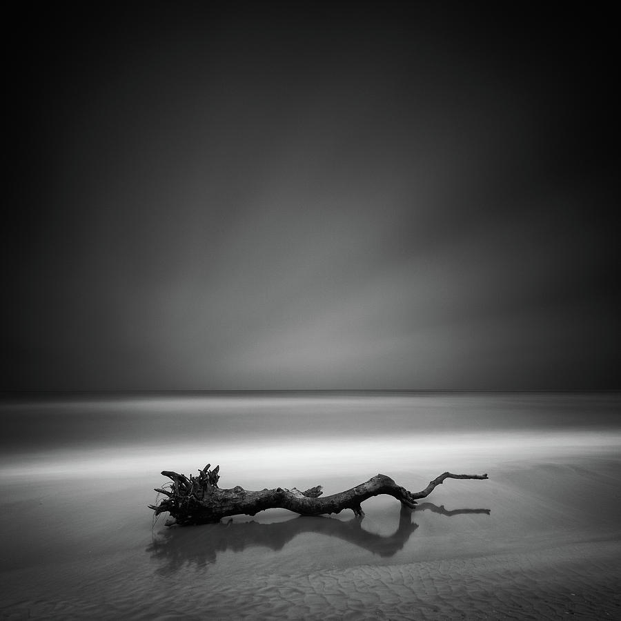 Black And White Photograph - Serpent by Martin Rak