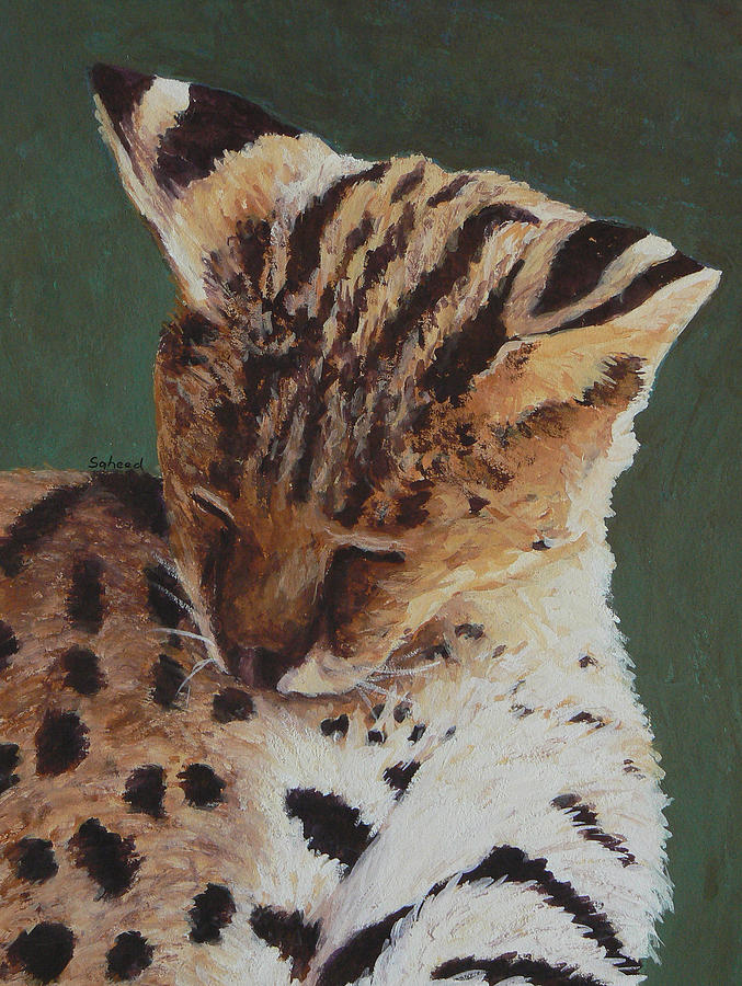 Wildlife Painting - Serval Nap by Margaret Saheed