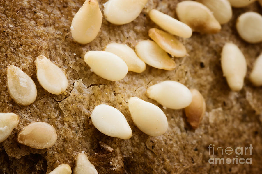 Bread Photograph - Sesame seeds on bread crust by Mythja Photography