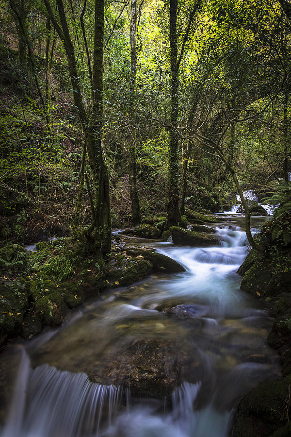 Sesin Stream near Caaveiro Photograph by Pablo Avanzini