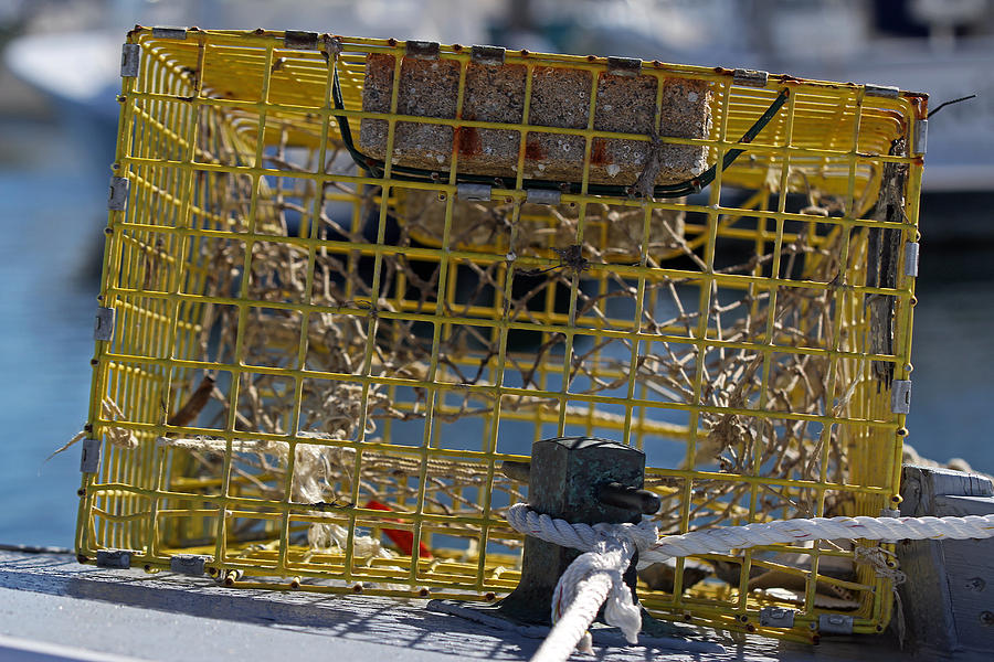 Boat Photograph - Sesuit Harbor Lobster Cage by Juergen Roth