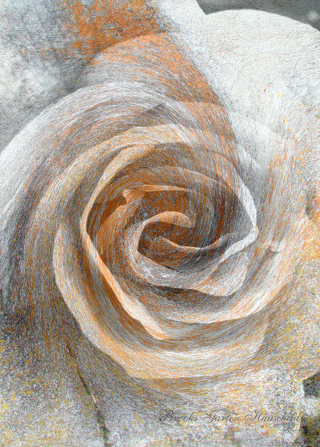 Set in Stone - Rose Art and Photography - Manipulated Flower Photograph by Brooks Garten Hauschild