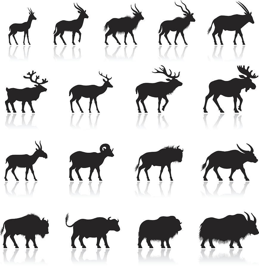 Set of Horned Animal Silhouettes Drawing by AlonzoDesign