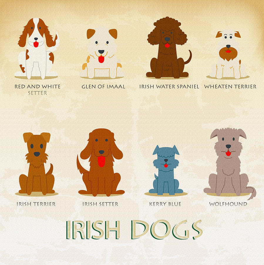 Set of irish dogs Digital Art by Don Kuing - Fine Art America