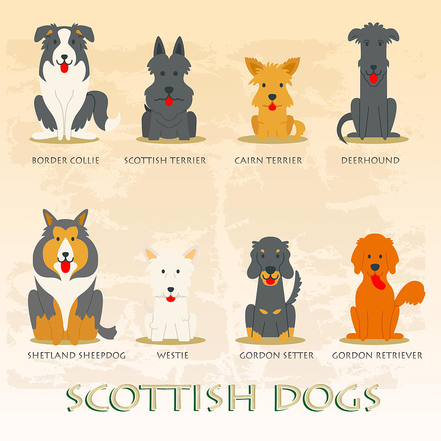 Scottish Dogs