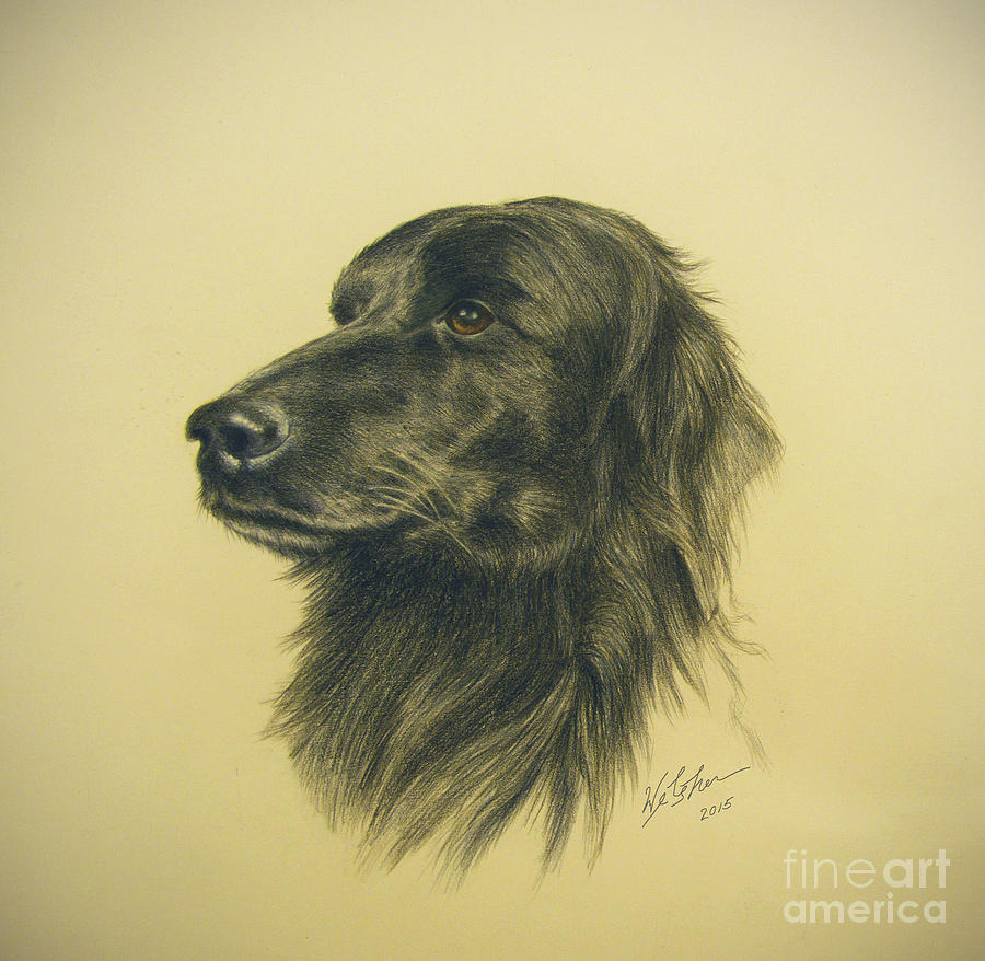Setter Lab Mix Painting by Phil Welsher