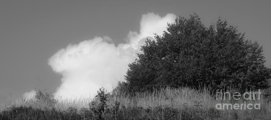 Black And White Photograph - Setting cloud by Agata Wisniowska