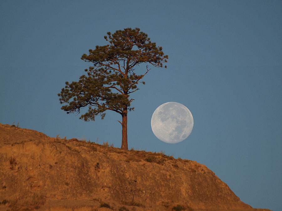 Setting Harvest Moon Photograph by HW Kateley