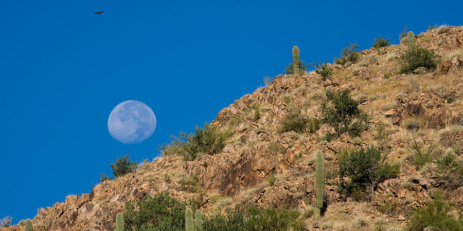 Desert Photograph - Setting Moon by Randall Ingalls