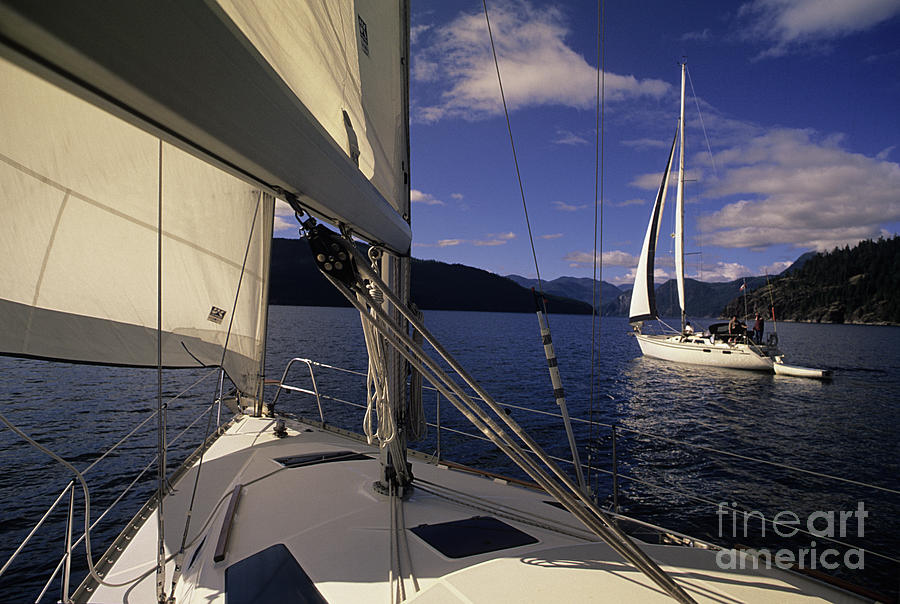 Summer Photograph - Setting Sail by Bob Christopher