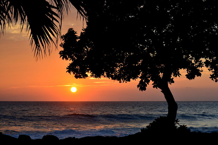 Setting Sun in Kona Photograph by Lori Seaman