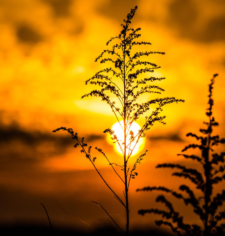 Sunset Photograph - Setting Sun by Parker Cunningham