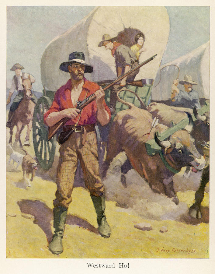 Settlers On The Westward Trail Drawing by Mary Evans Picture Library