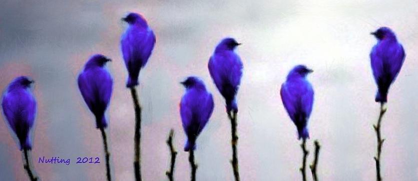 Seven Birds Of Purple Painting