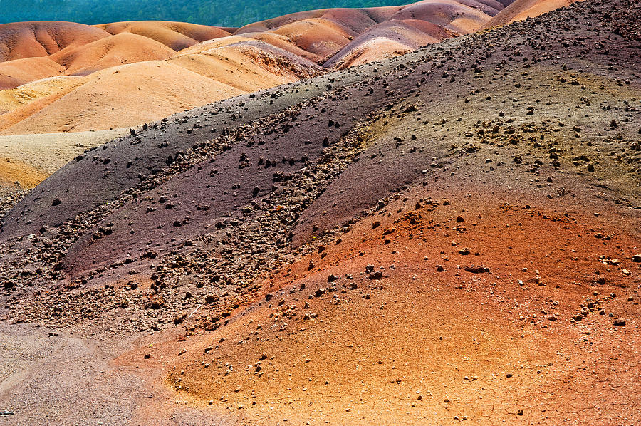 Tree Photograph - Seven Colored Earth in Chamarel 5. Series Earth Bodyscapes. Mauritius by Jenny Rainbow