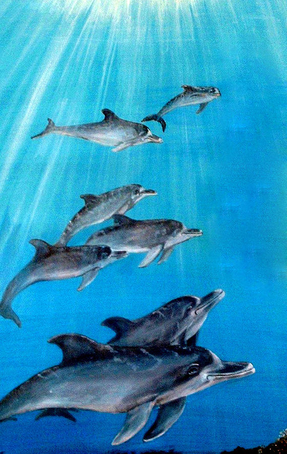 Seven Dolphins Painting by Mackenzie Moulton