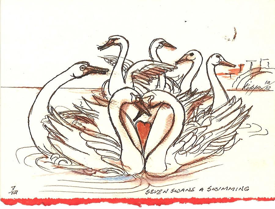 Seven Swans A Swimming Drawing by Kippax Williams