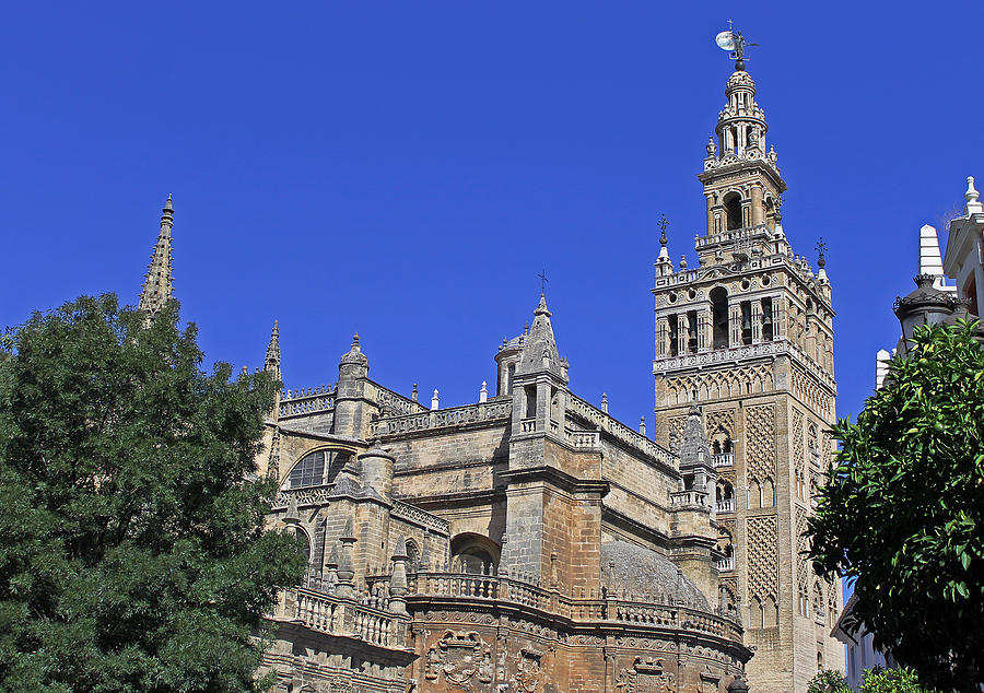 Seville Cathedral Photograph by Tony Murtagh