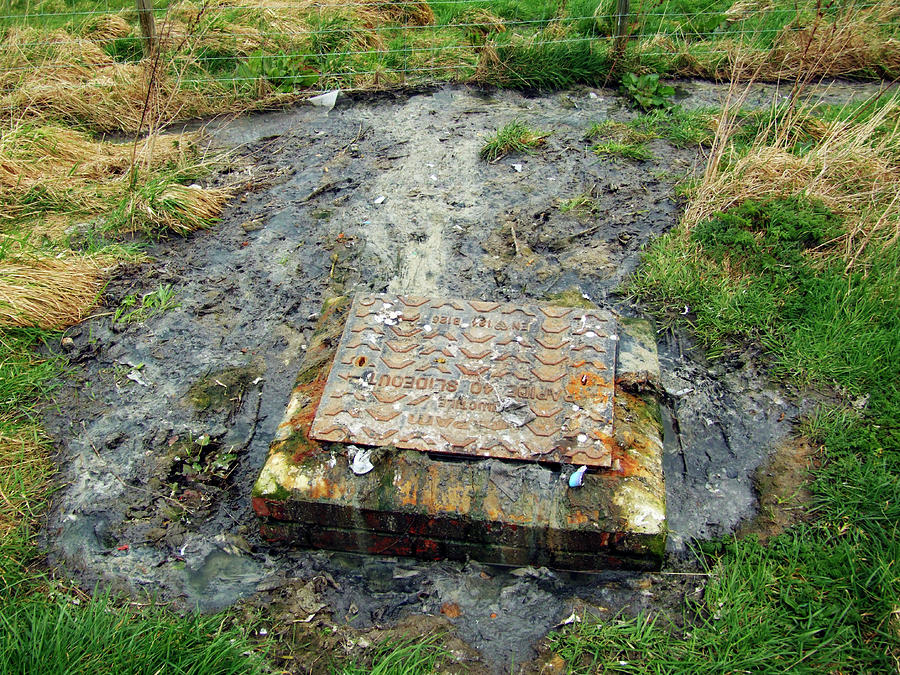 Sewage Photograph by Ian Gowland/science Photo Library