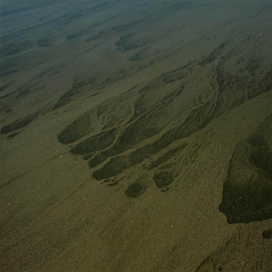 Sewage On A Beach Photograph by Sinclair Stammers/science Photo Library