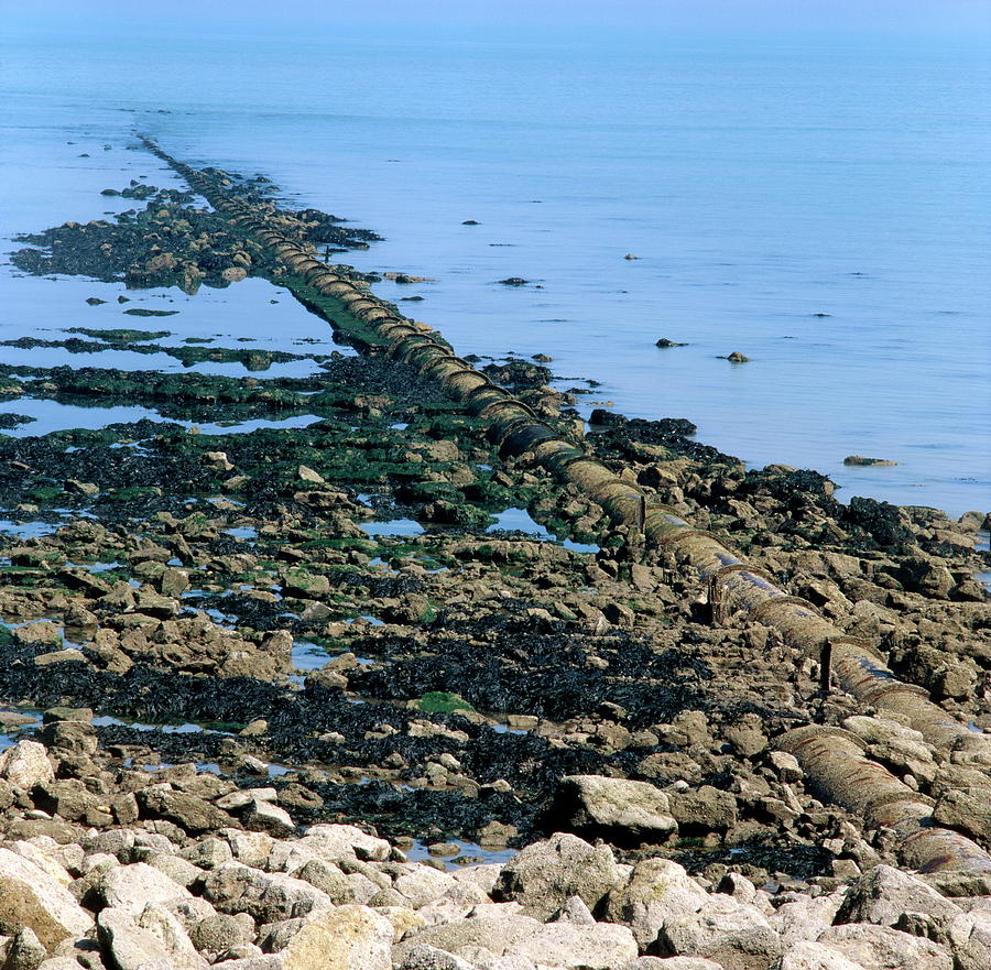 Beach Photograph - Sewage Pipe by Robert Brook/science Photo Library