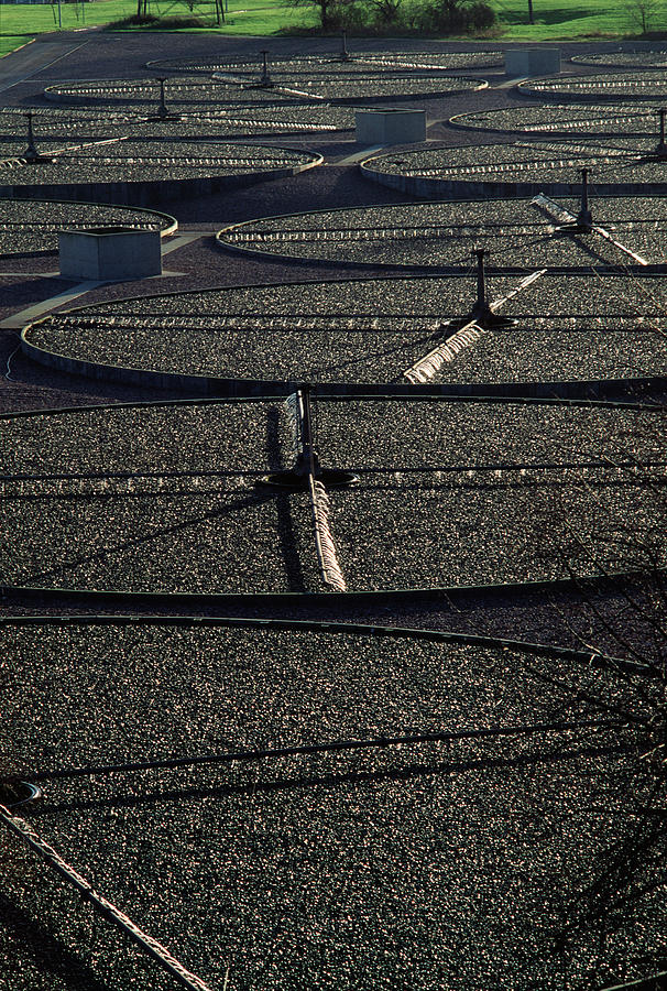 Bed Photograph - Sewage Works Filter Beds by Robert Brook/science Photo Library