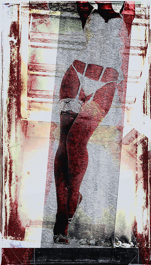 Abstract Digital Art - Sexy Legs by David Ridley