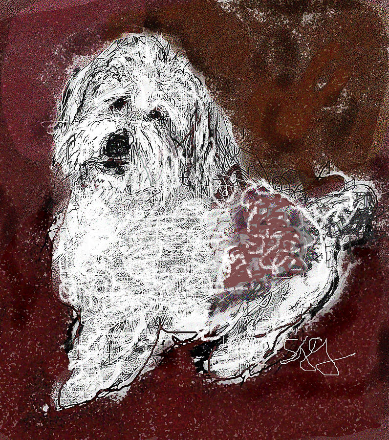 Dog Digital Art - Seymour by Joyce Goldin