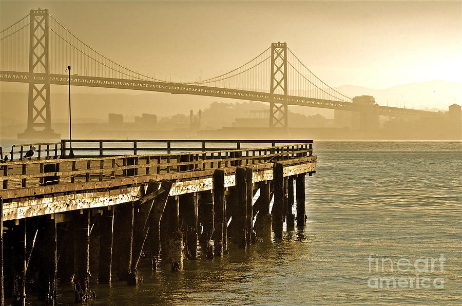SF Bay Bridge from Treasure Island Photograph by Amy Fearn