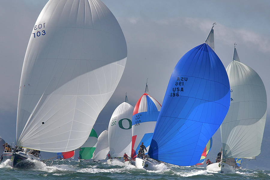 SF Bay Spinnakers Photograph by Steven Lapkin
