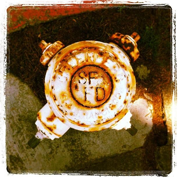 Sffd Photograph - SFFD Fire Hydrant by Bryan V