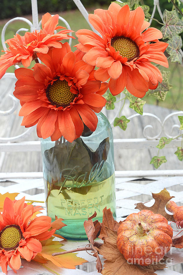 Shabby Chic Autumn Fall Orange Daisy Flowers In Mason Ball Jar - Autumn Fall Flowers Gerber Daisies Photograph by Kathy Fornal