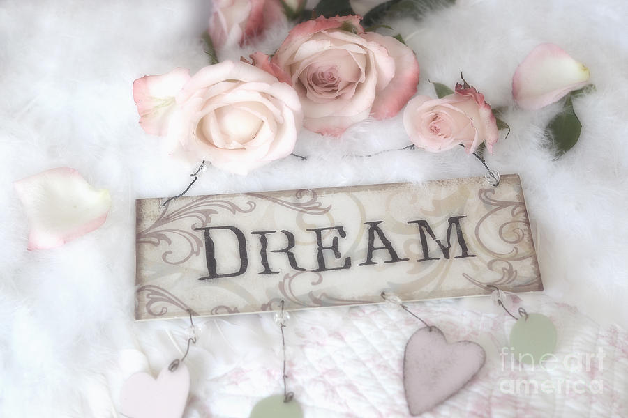 Shabby Chic Cottage Pink Roses Dream - Shabby Chic Dreamy Romantic Pink Roses - Dream Decor Photograph by Kathy Fornal
