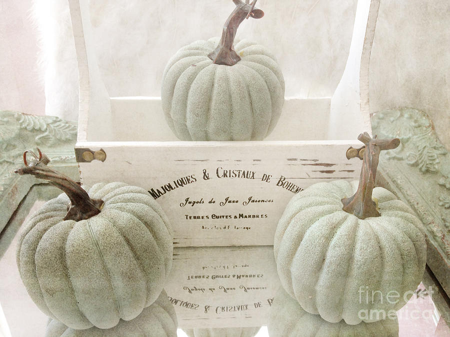Shabby Chic Pastel White Vintage French Basket of Pumpkins Photograph by Kathy Fornal