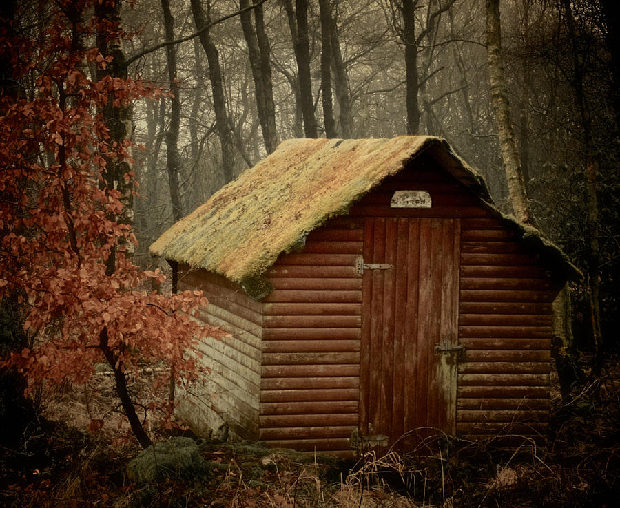 Shack by Odd Jeppesen Shack by Odd Jeppesen