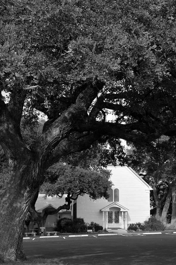 Shade Tree at Trinity Church Photograph by Connie Fox