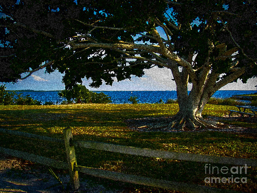 Tree Photograph - Shade Tree In The Park by Eric Geschwindner