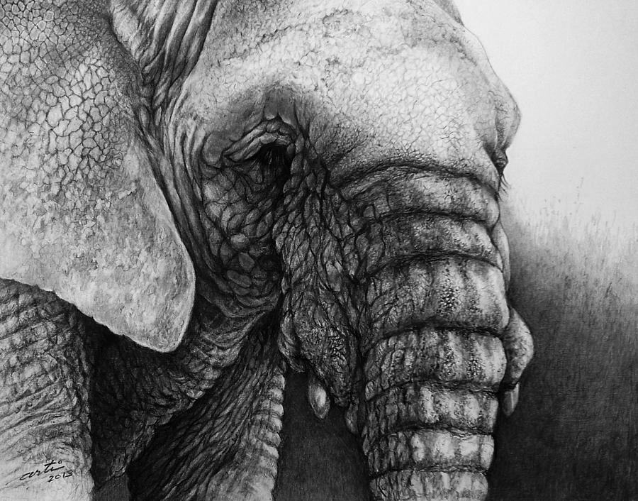 Shades of Gray in Pencil Drawing by Arti Chauhan