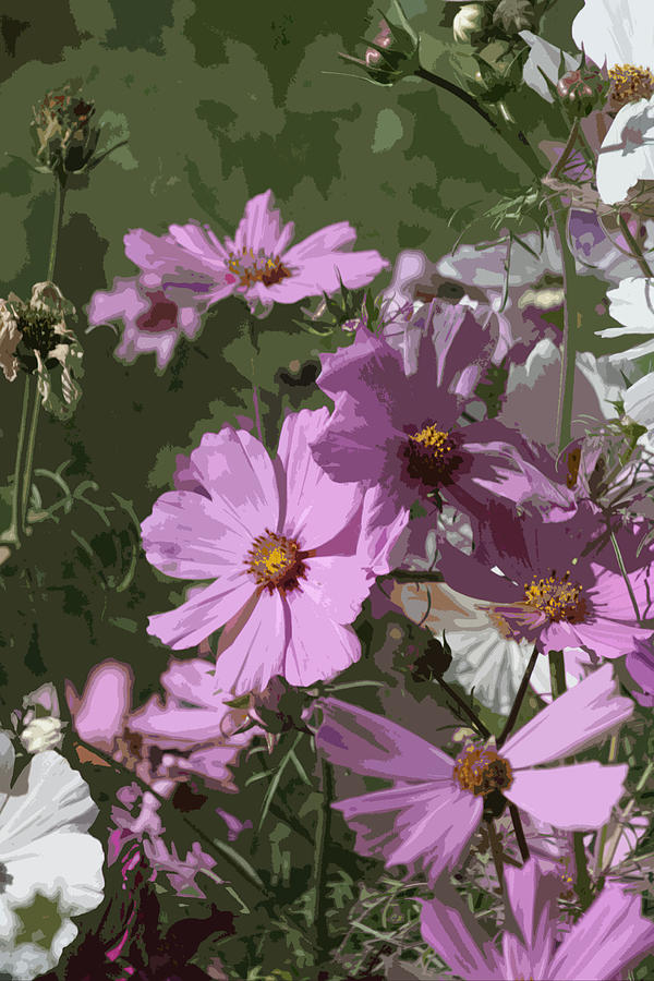Shades of Purple Flowers Digital Art by Joseph Coulombe