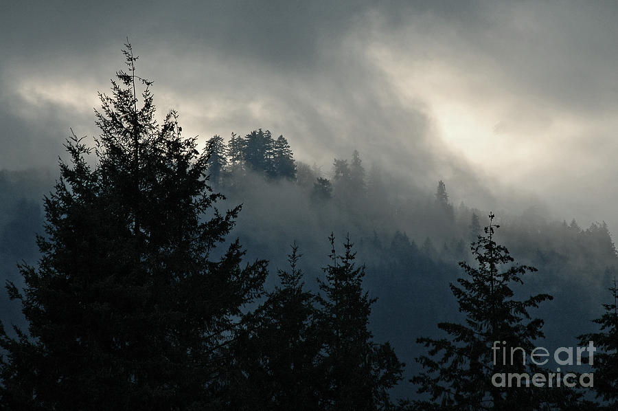 Winter Photograph - Shades Of The Pacific Northwest by Nick Boren