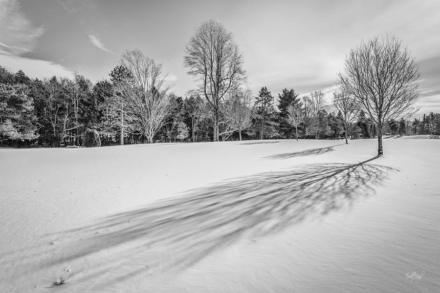 Shades Of Winter Photograph