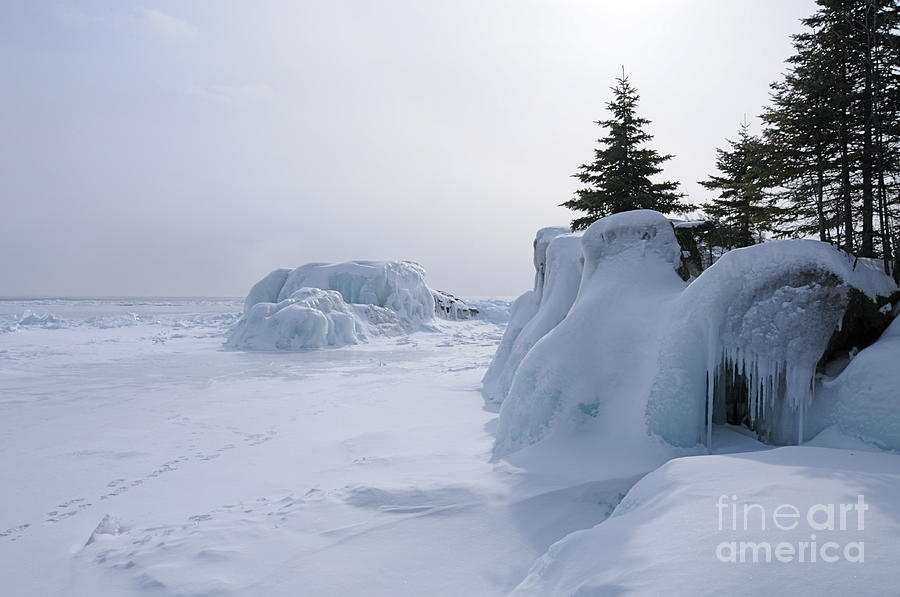 Shades of Winter Photograph by Sandra Updyke