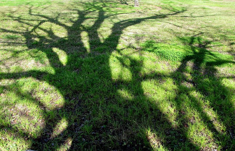 Shadow Photograph by Beth Vincent
