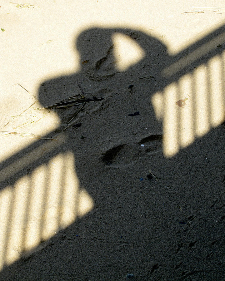 Shadow in the Sand Photograph by Bob Slitzan