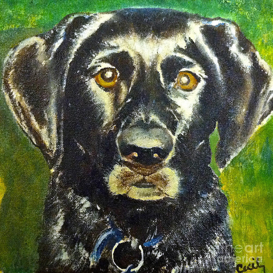 Dog Painting - Shadow by Cecily Mitchell