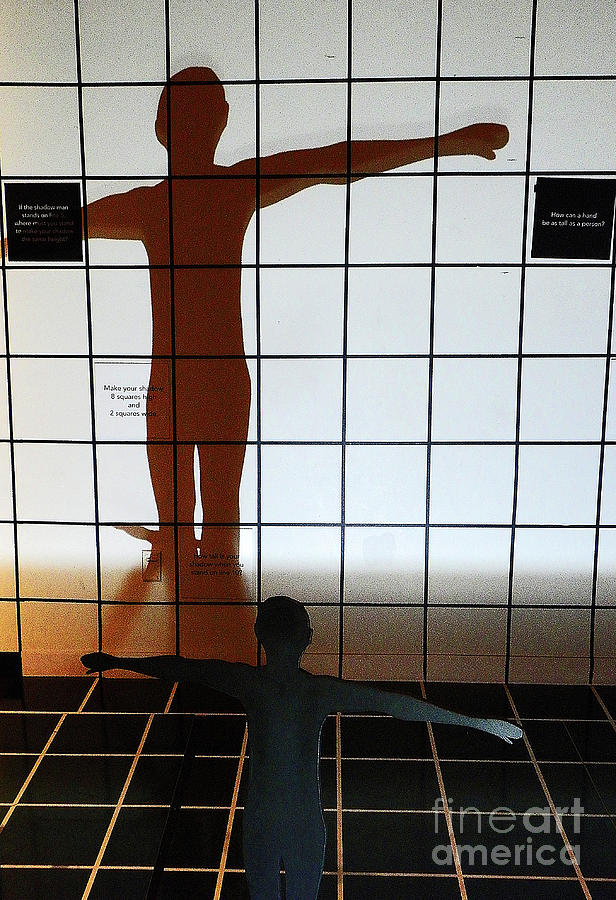 Digital Photograph - Shadow Dancer II by Elizabeth Hoskinson