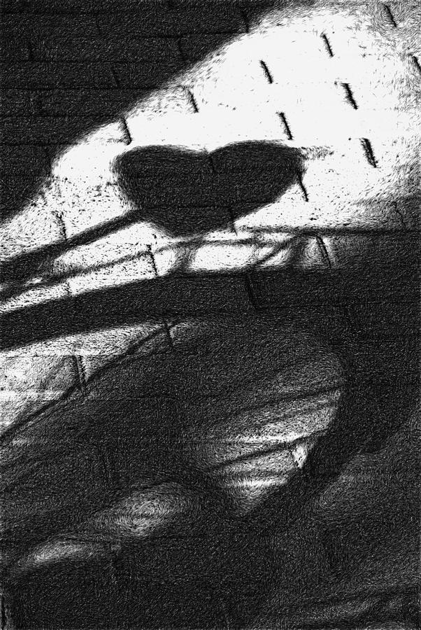 Bicycle Photograph - Shadow Heart Advanced Pencil by David Lange