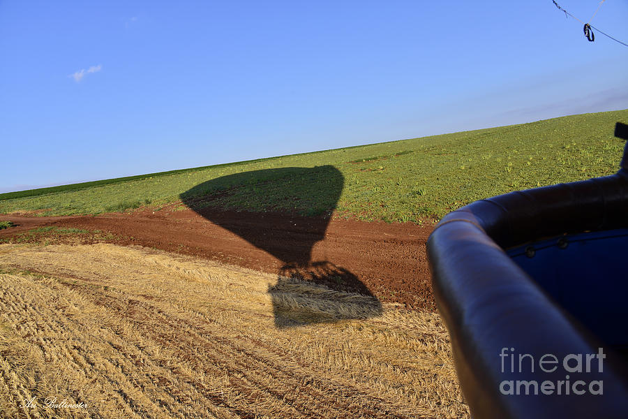 Shadow landing Photograph by Arik Baltinester