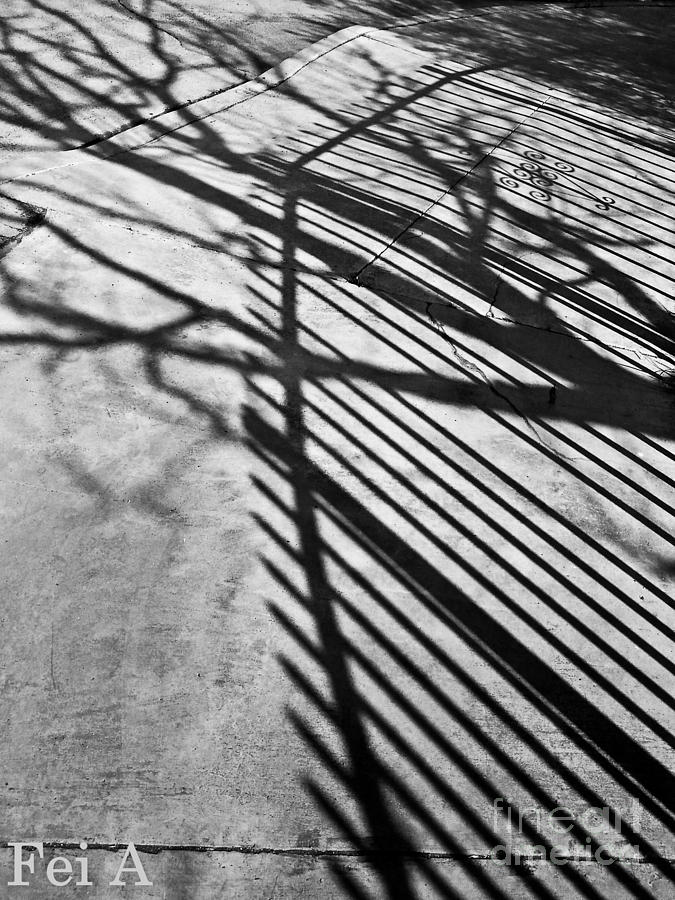 Shadow Merge Photograph by Fei A