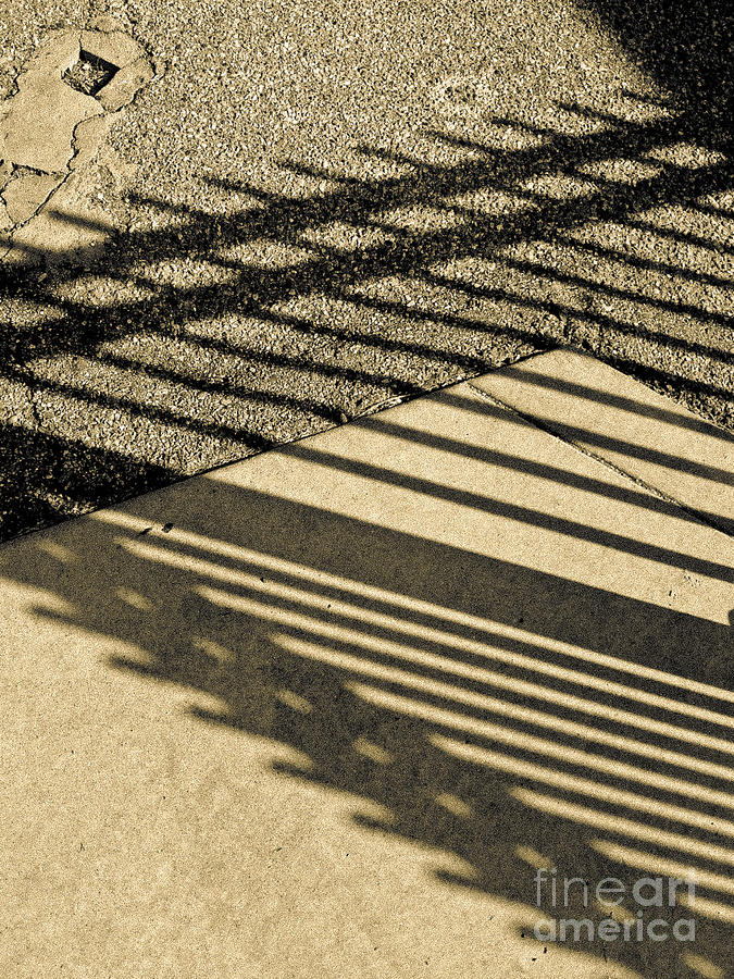Shadow No.105 Photograph by Fei A